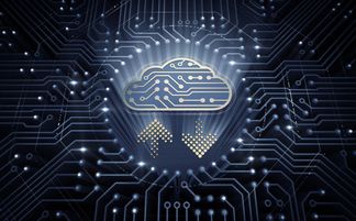 Radware云端原生數(shù)據(jù)泄露事件解析 人工智能應用軟件開發(fā)的警鐘