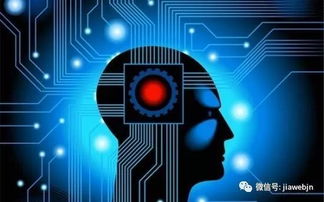 同質(zhì)化格局下，AI能否引爆智能手機行業(yè)創(chuàng)新？——人工智能應用軟件開發(fā)的挑戰(zhàn)與機遇