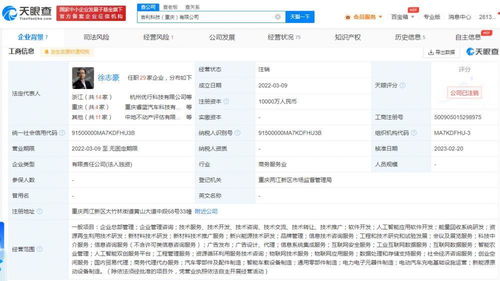 吉利科技重慶公司注銷始末 成立不足一年，新能源原動設備銷售業(yè)務何去何從？